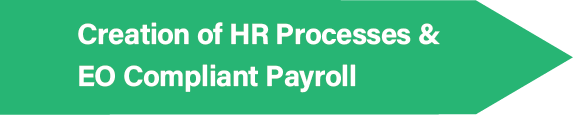 Creation of HR Processes and EO Compliant Payroll