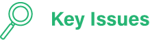 key issue