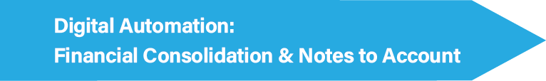 Digital Automation: Financial Consolidation and Notes to Account