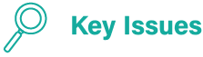 key issue